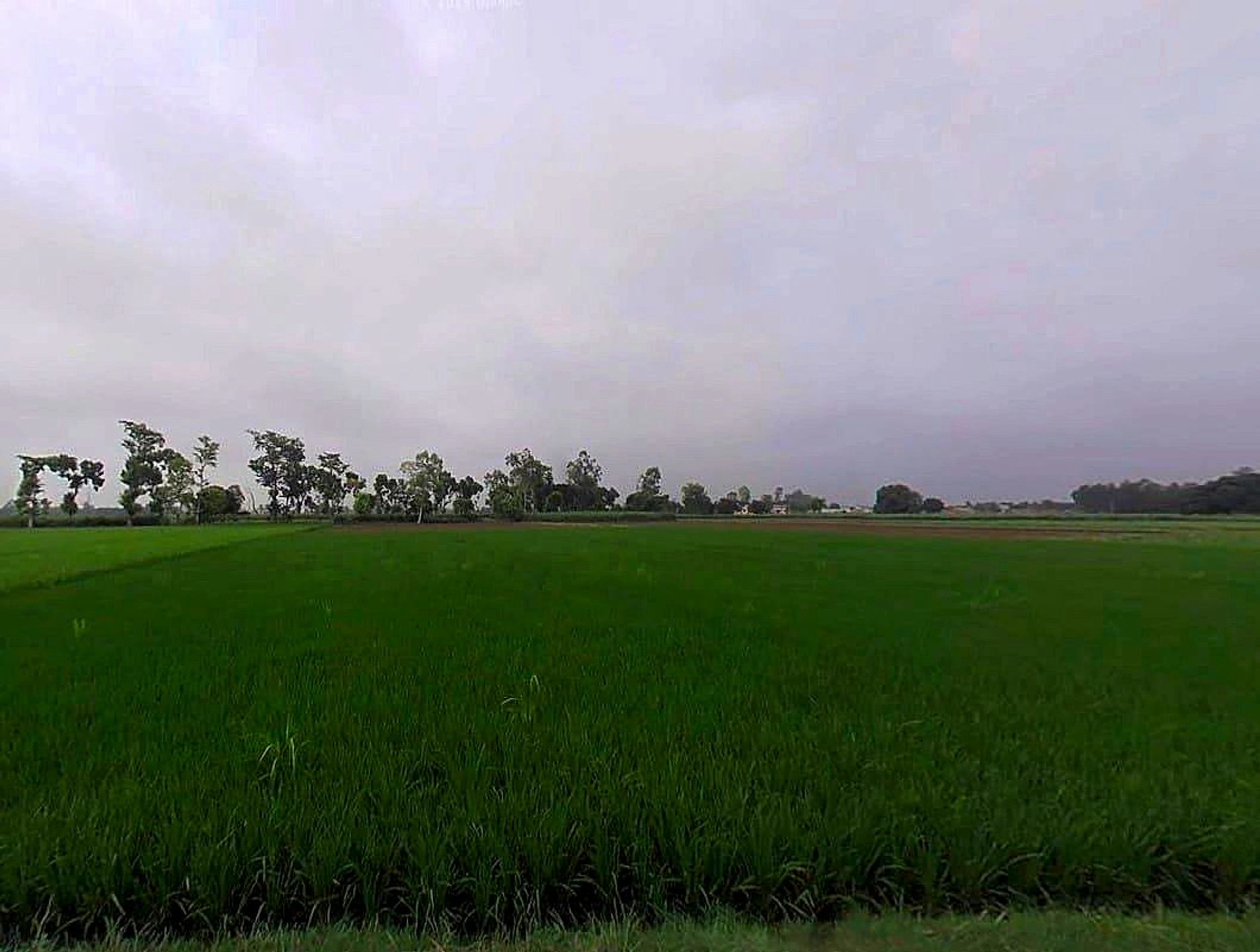 Thanabhawan, Uttar Pradesh, India