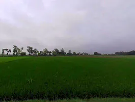 Thanabhawan, Uttar Pradesh, India preview 2