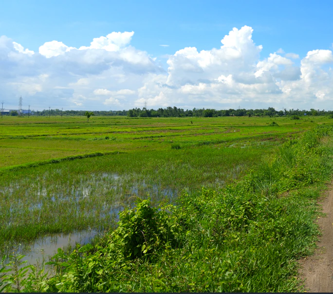 Sinduriya, Madhya Pradesh, India