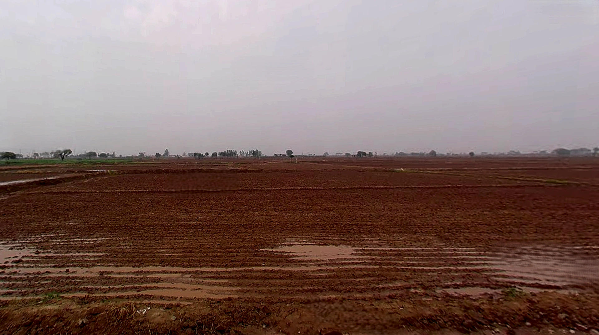 Karala, Punjab 140601, India