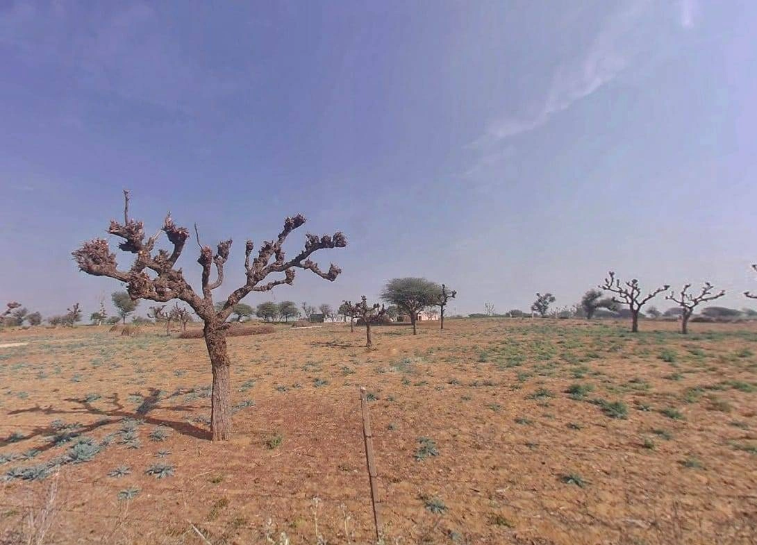 Khachariawas, Rajasthan 332710, India