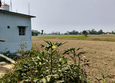 Harpur Machhagar, Uttar Pradesh 274149, India preview 2