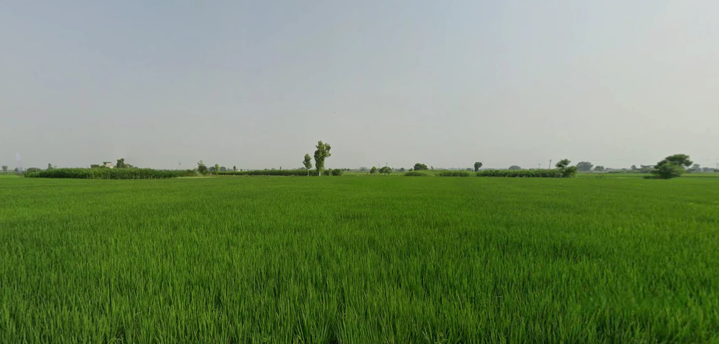 Kathu Nangal, Punjab 143502, India