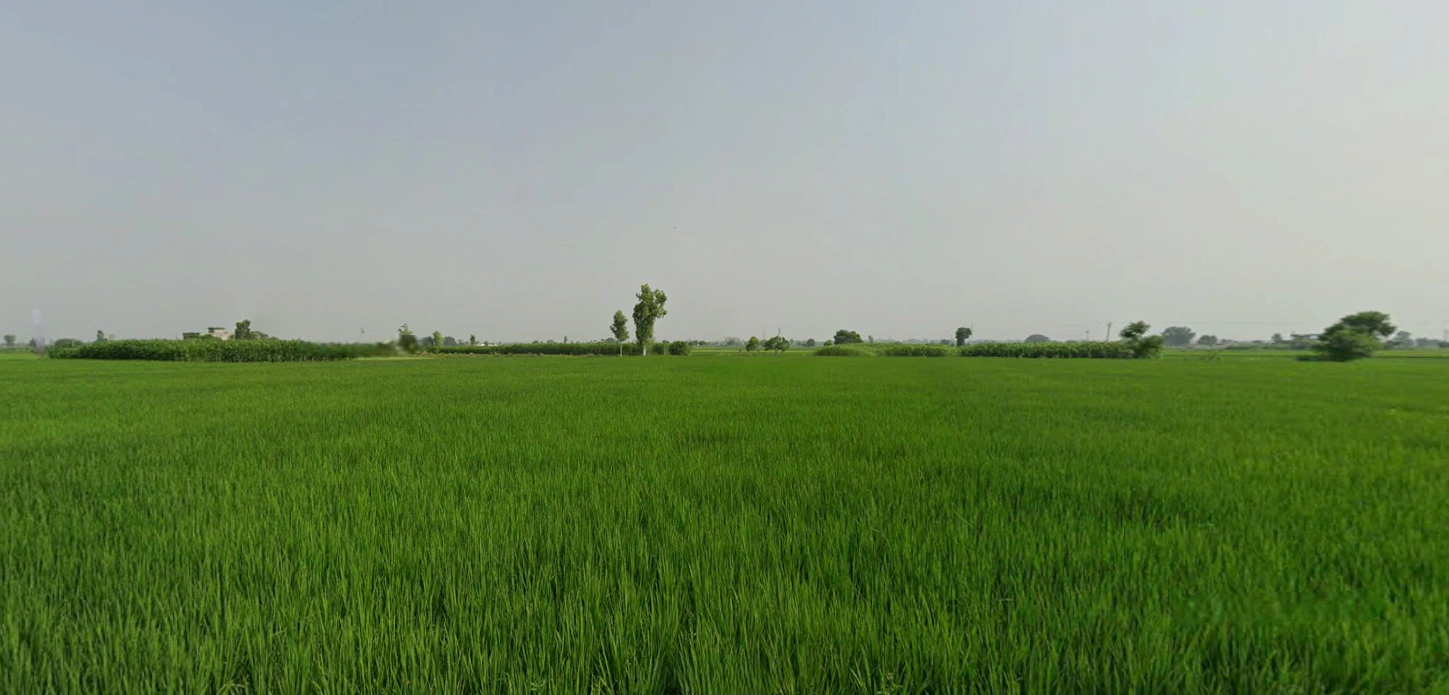 Kathu Nangal, Punjab 143502, India