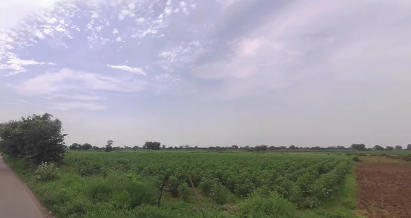 Murgathali, West Bengal 731130, India preview 3