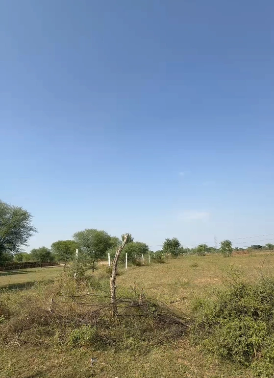 XRQ6+FV Farmana, Haryana, India