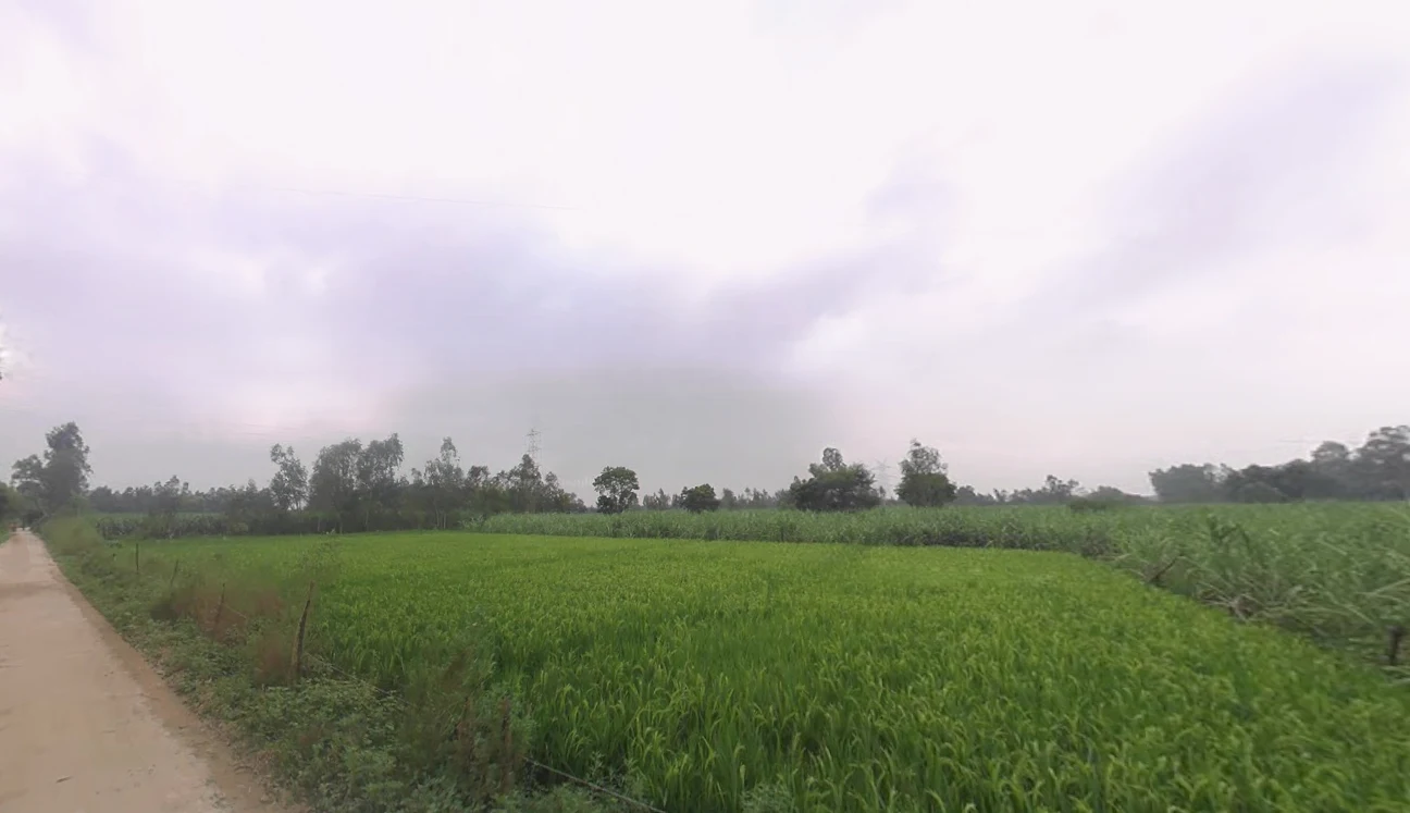 Chhutmalpur, Uttar Pradesh 247662, India