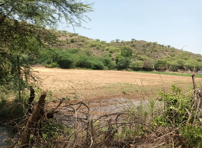 8QQ8+4GF, Khohra, Kajota, Rajasthan 321633, India