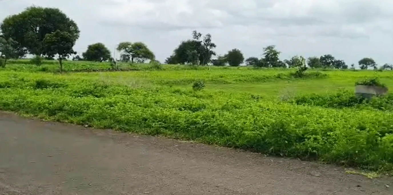 2JWP+7H7, Sangareddy, Mavinelli, Telangana 502286, India