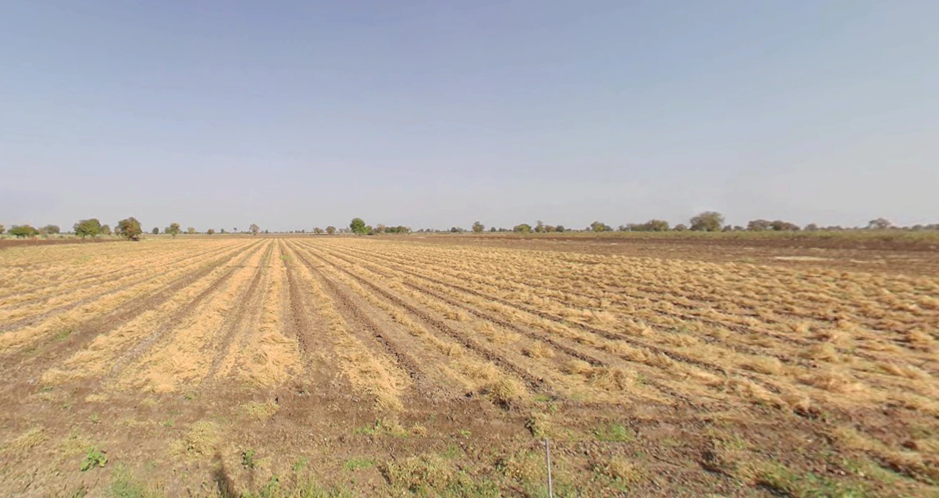 Kudasan, Gandhinagar, Gujarat, India