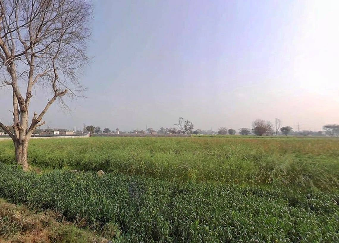 FRJW+9FJ, Seetal, Rajasthan 301021, India