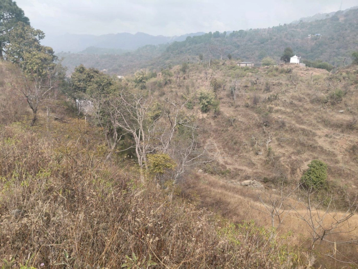 Morni Hills, Haryana, India