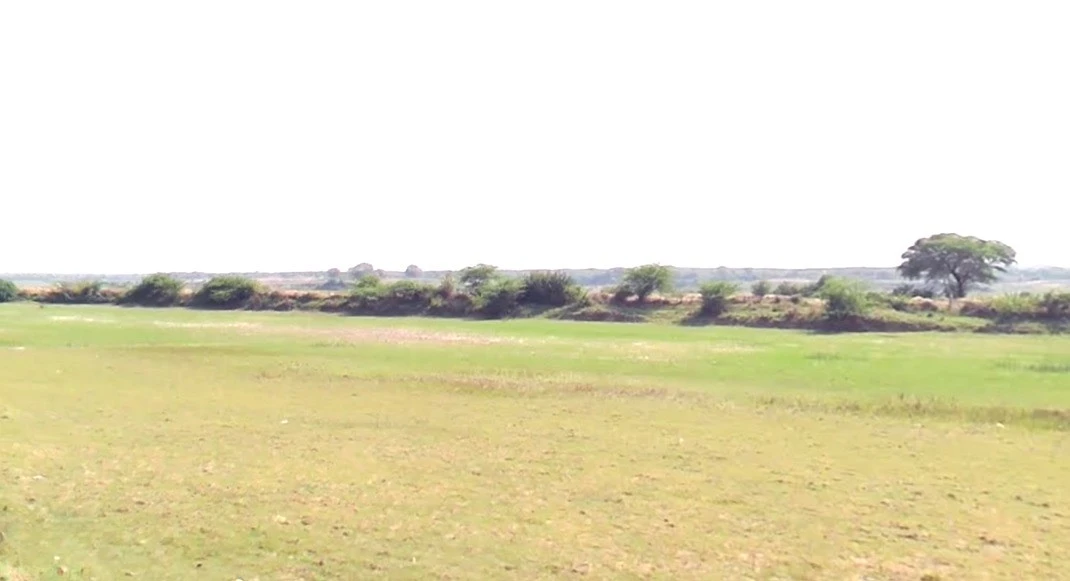 Ner, Madhya Pradesh 480223, India