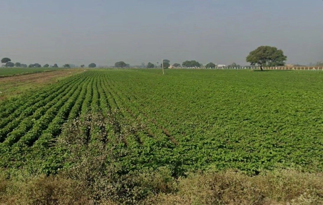 Songir, Madhya Pradesh, India