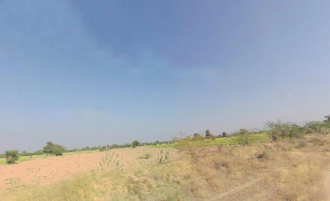 954, आम चोराया बान्डाई, बंदी, राजस्थान 306421, India