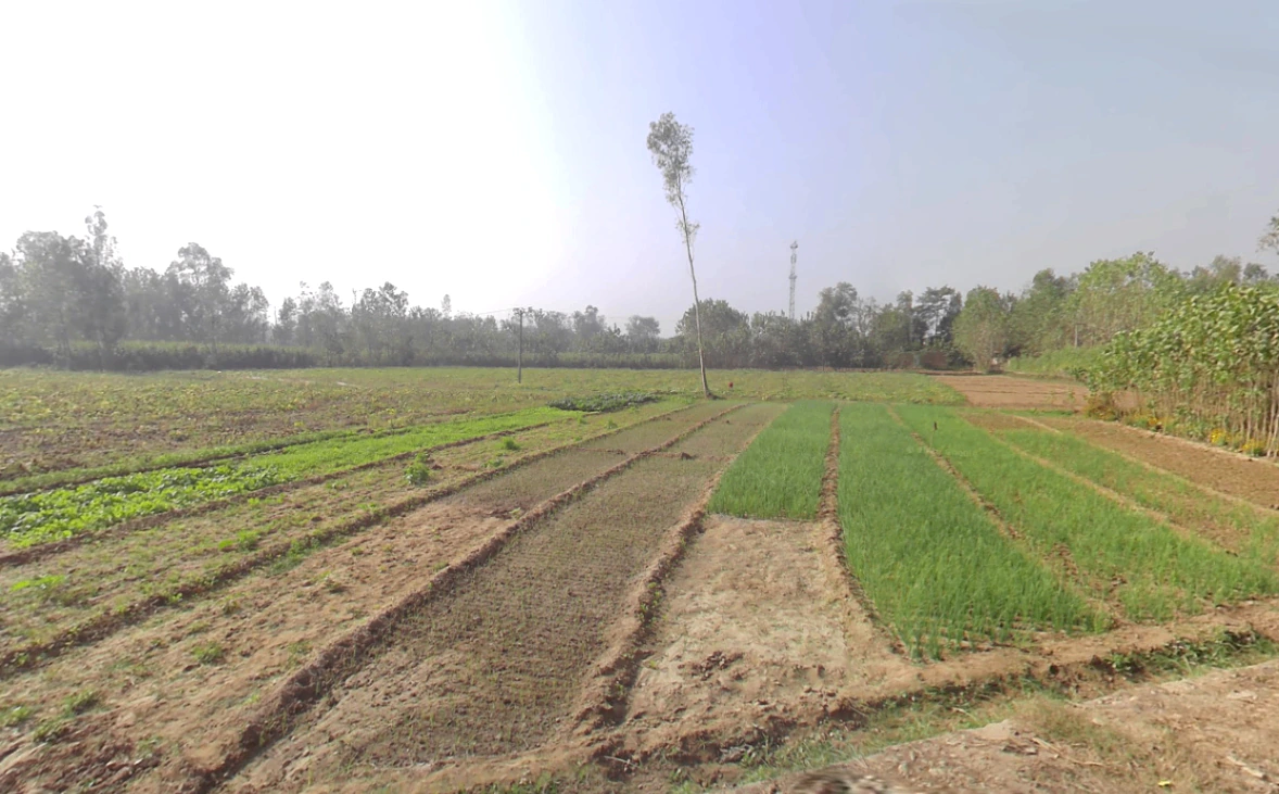 Hasanpur, Uttarakhand 247662, India