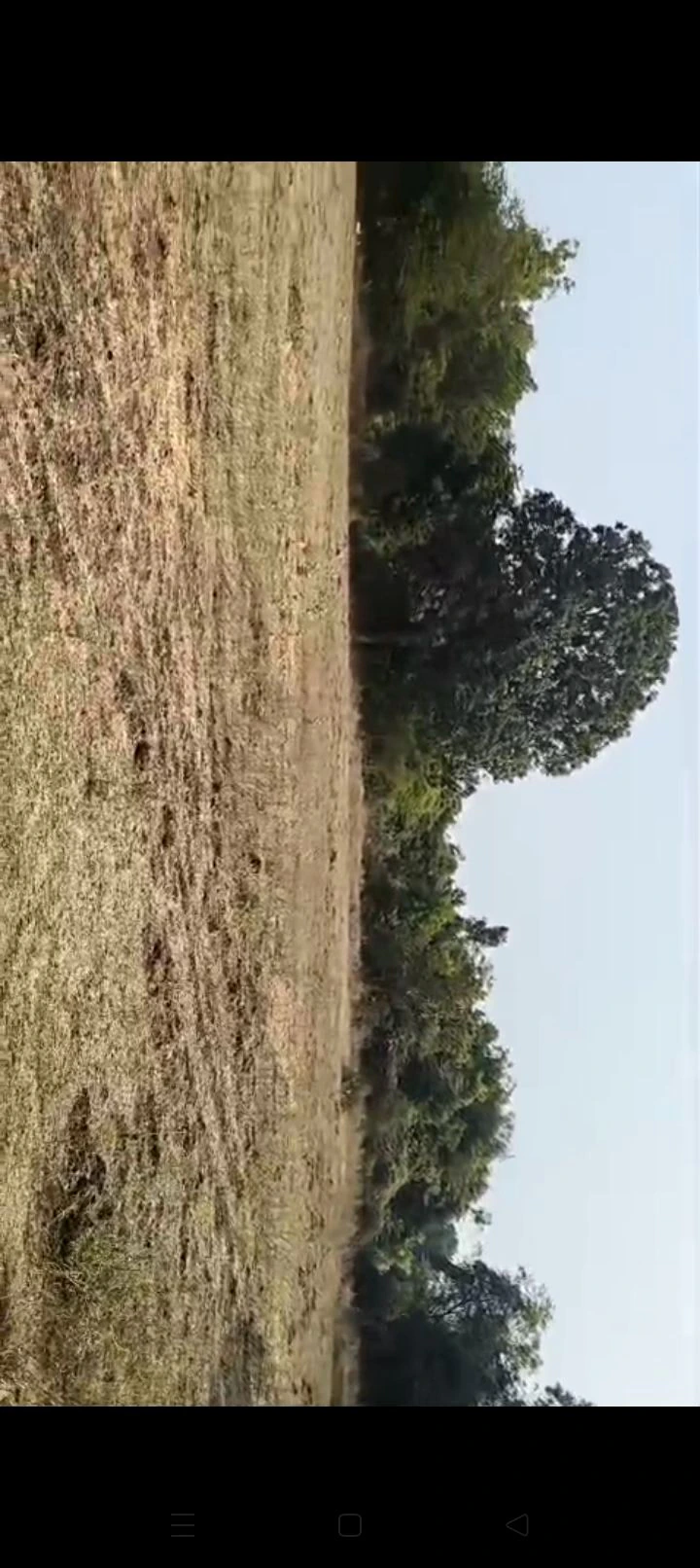 Himatnagar, Gujarat, India