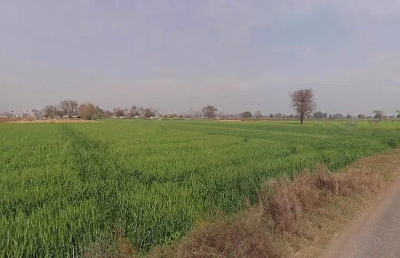 Ronpur, Rajasthan, India preview 3