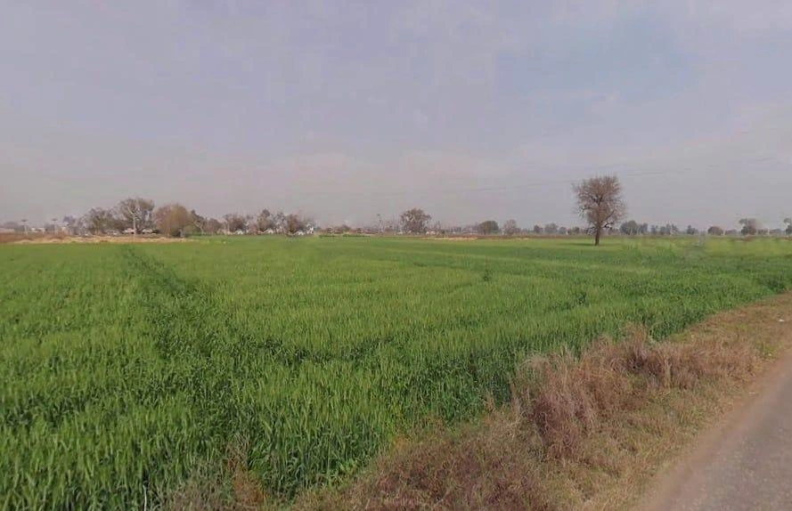 Ronpur, Rajasthan, India