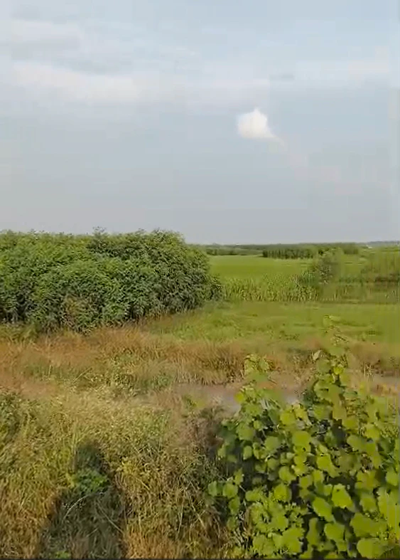 QM43+84H, Samastipur, Gunai Basai, Bihar, India