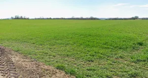 Karera, Madhya Pradesh, India preview 3