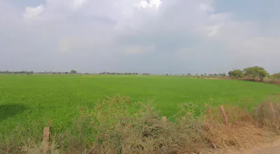 Ganj Basoda, Madhya Pradesh 464221, India preview 2