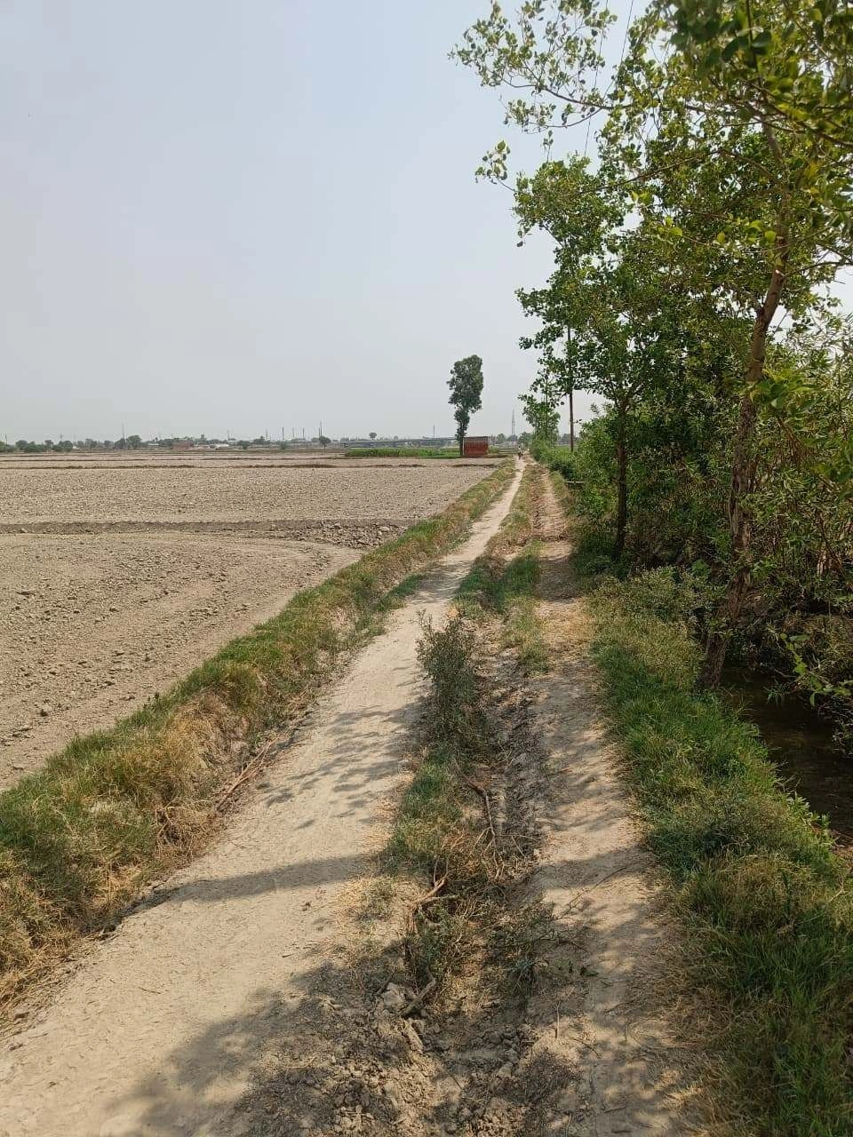 Sahar, Uttar Pradesh, India