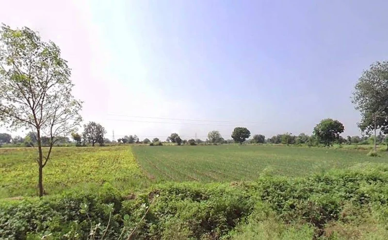 Chhegaon Makhan, Madhya Pradesh 450771, India preview 3