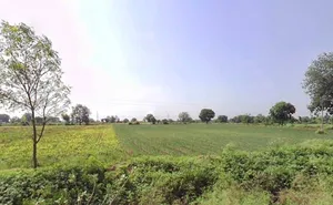 Chhegaon Makhan, Madhya Pradesh 450771, India preview 3