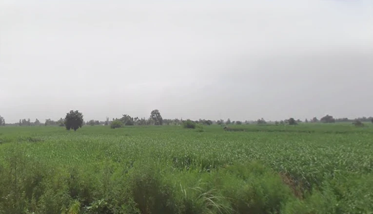 Pooth, Uttar Pradesh 245208, India