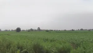 Pooth, Uttar Pradesh 245208, India preview 2