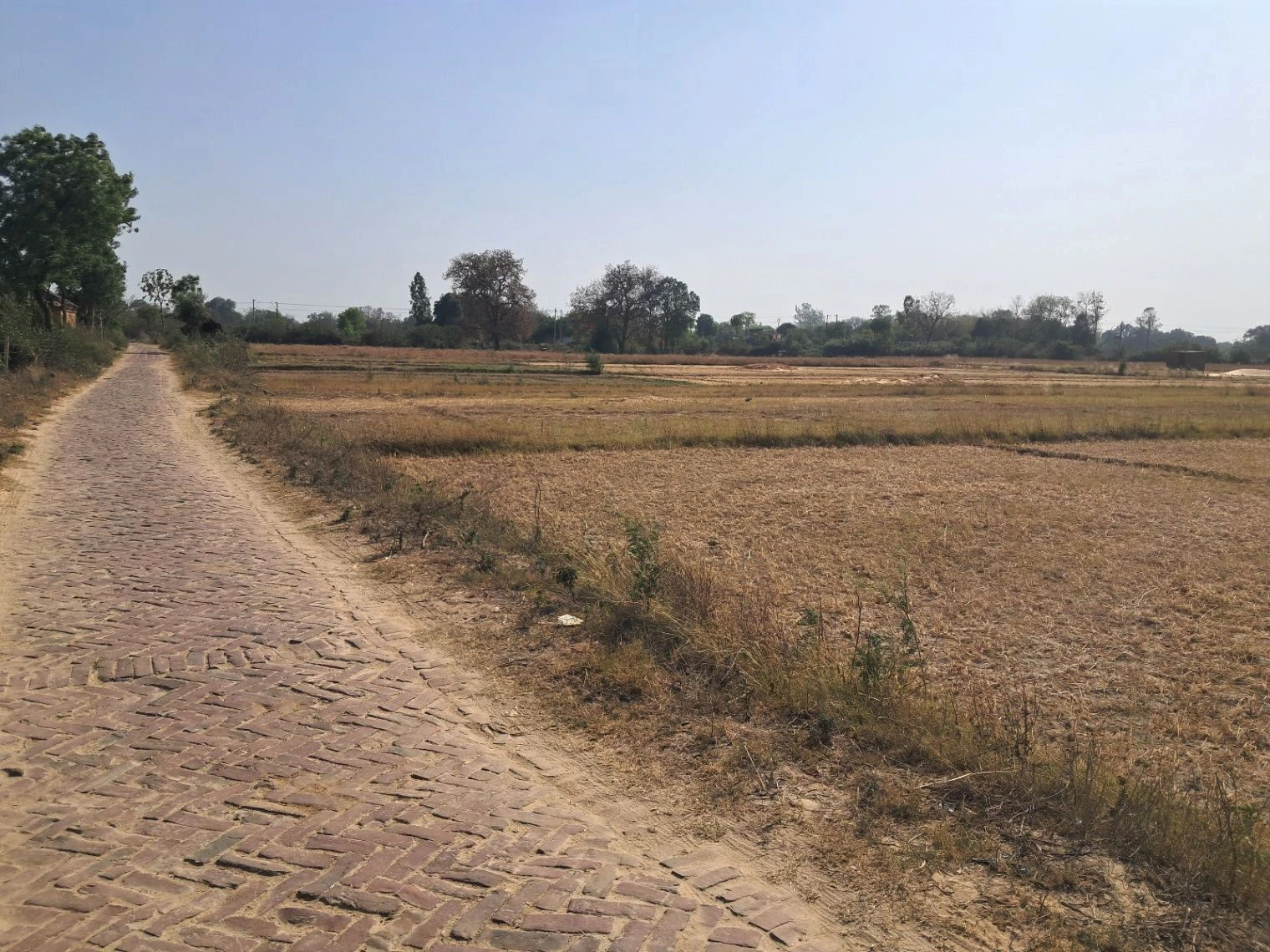 R5PP+HP Manjha Kala, Uttar Pradesh, India