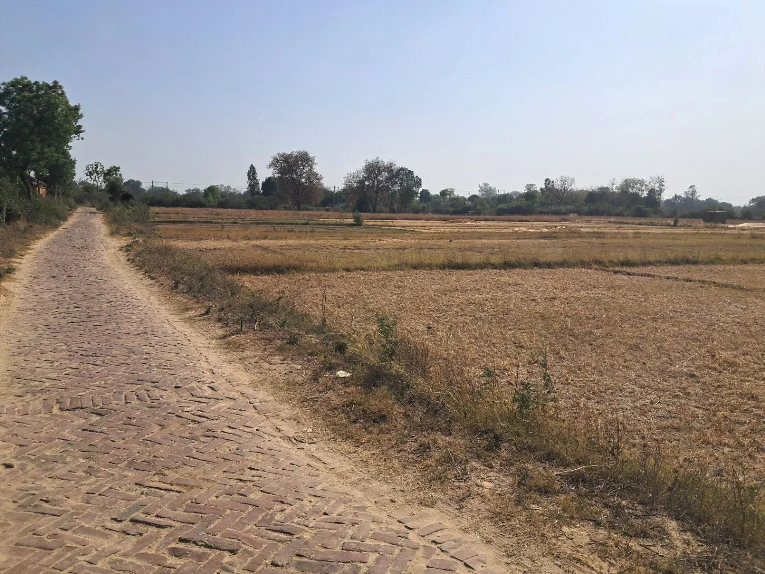 R5PP+HP Manjha Kala, Uttar Pradesh, India