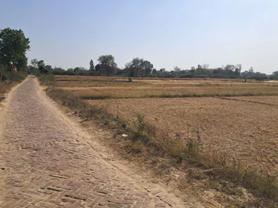R5PP+HP Manjha Kala, Uttar Pradesh, India preview 3