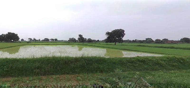 Prayagraj, Uttar Pradesh, India preview 3