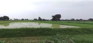 Prayagraj, Uttar Pradesh, India preview 3