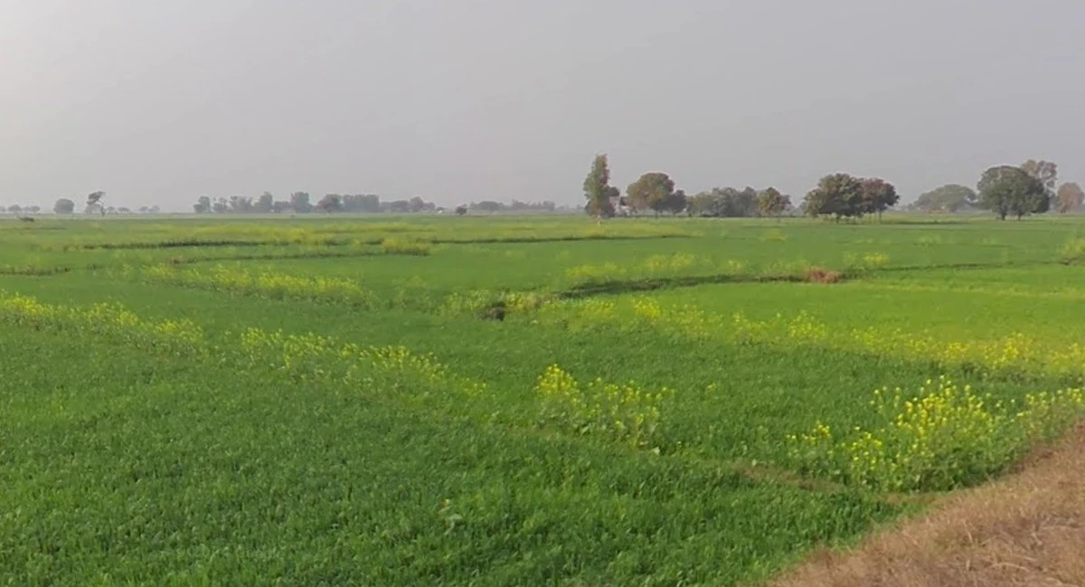 Chhimak, Madhya Pradesh 475110, India