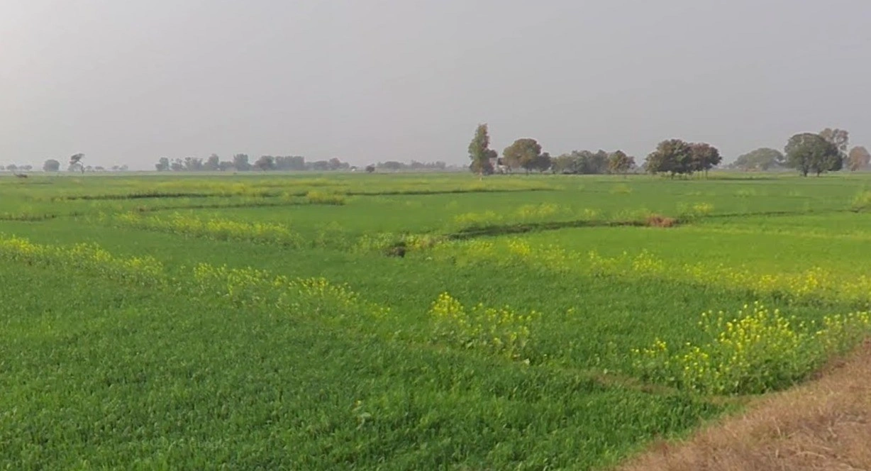 Chhimak, Madhya Pradesh 475110, India