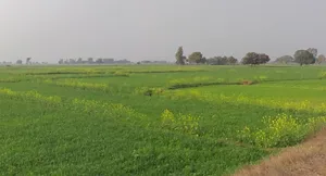 Chhimak, Madhya Pradesh 475110, India preview 3