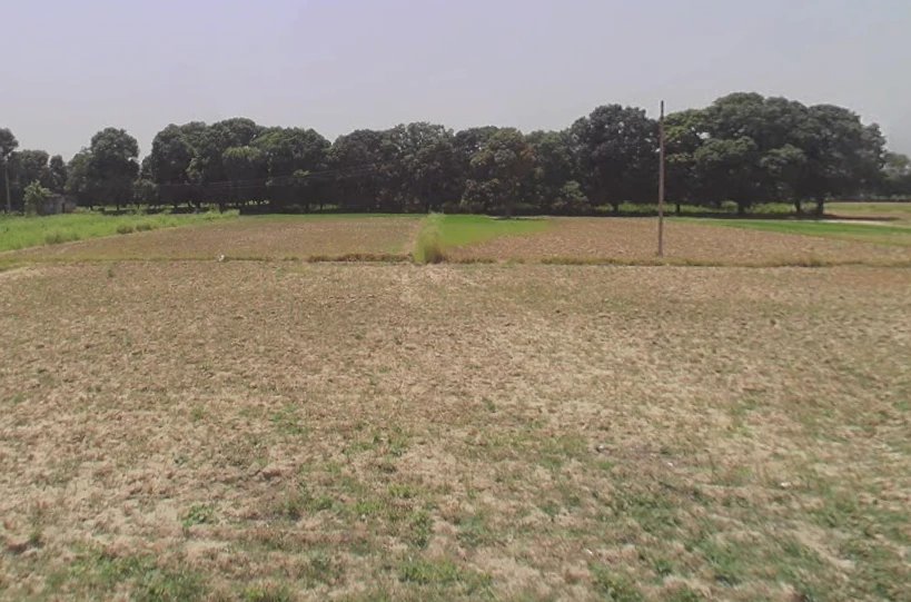 Kalyanpur, Uttar Pradesh 245205, India