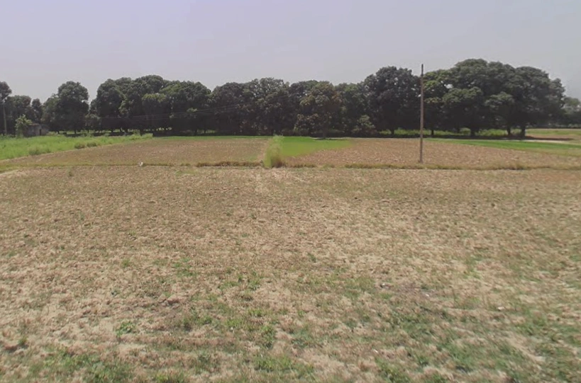 Kalyanpur, Uttar Pradesh 245205, India