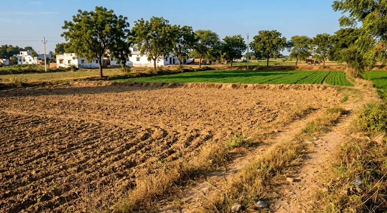 5RX7+55 Bhognipur, Kanpur Dehat, Uttar Pradesh, India