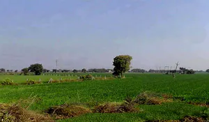 Lasurdiya Chhatradhar, Madhya Pradesh 455001, India preview 2