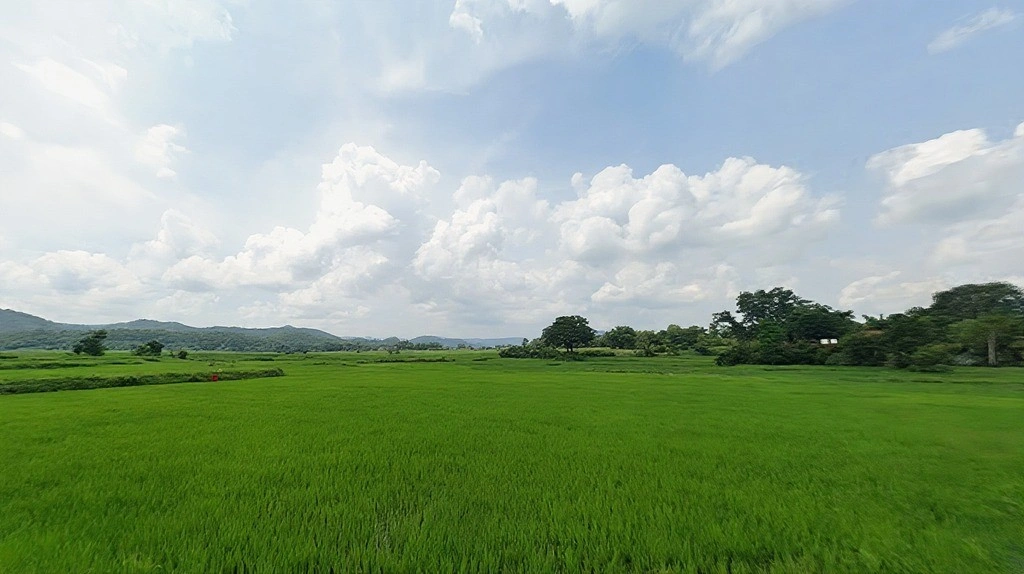 Chauka, Jharkhand, India