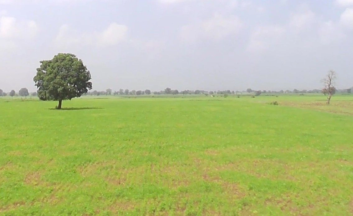 Bina, Madhya Pradesh 470113, India