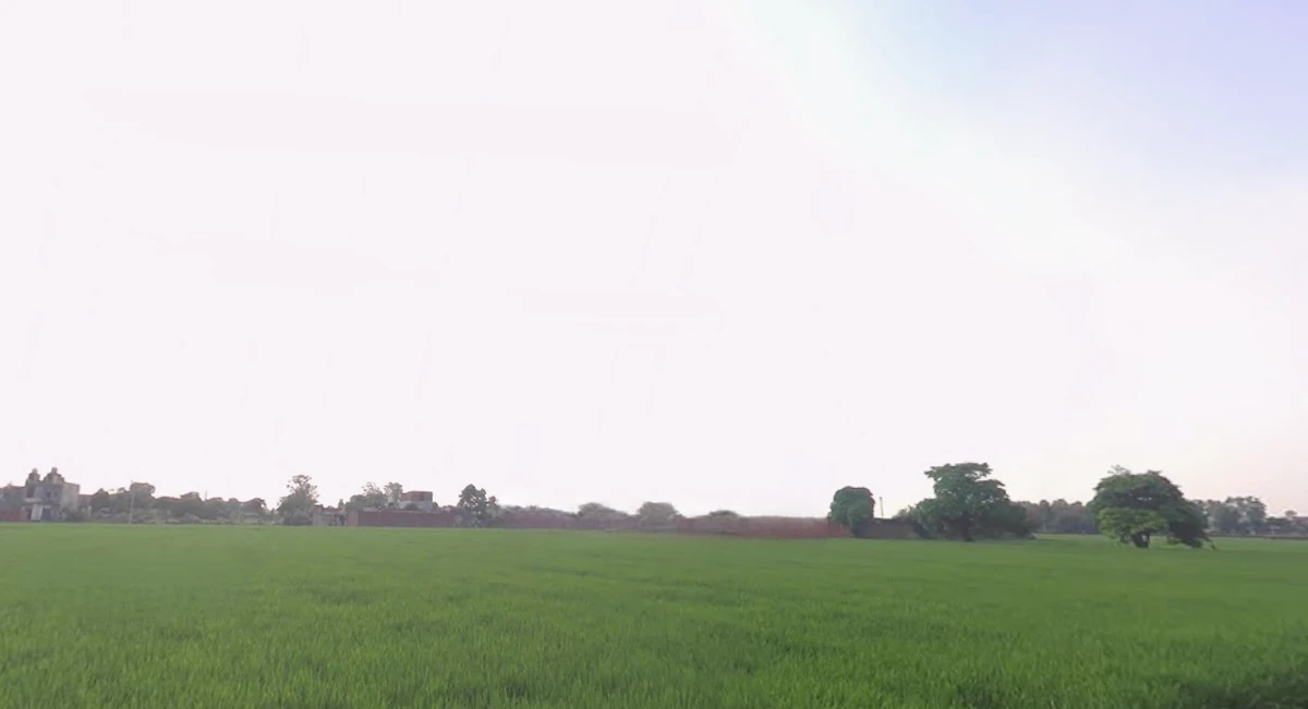 Mundian Kalan, Ludhiana, Punjab 141003, India