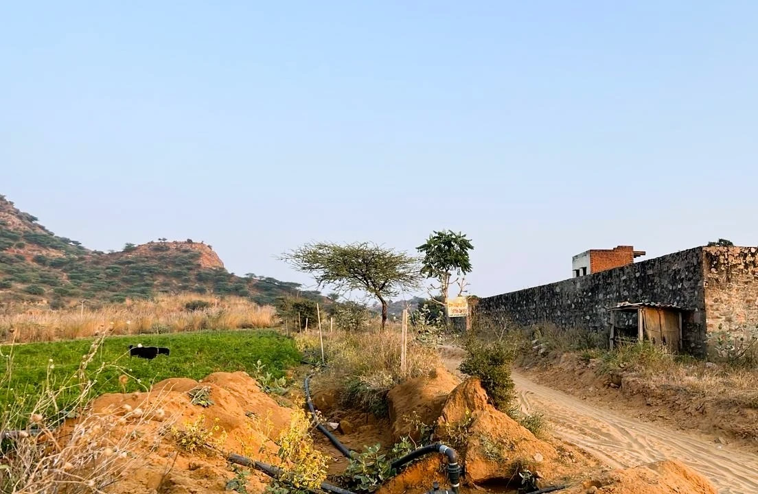 WX5J+GX9, Ruppur Sarai, Haryana 123023, India