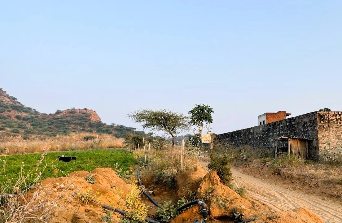 WX5J+GX9, Ruppur Sarai, Haryana 123023, India