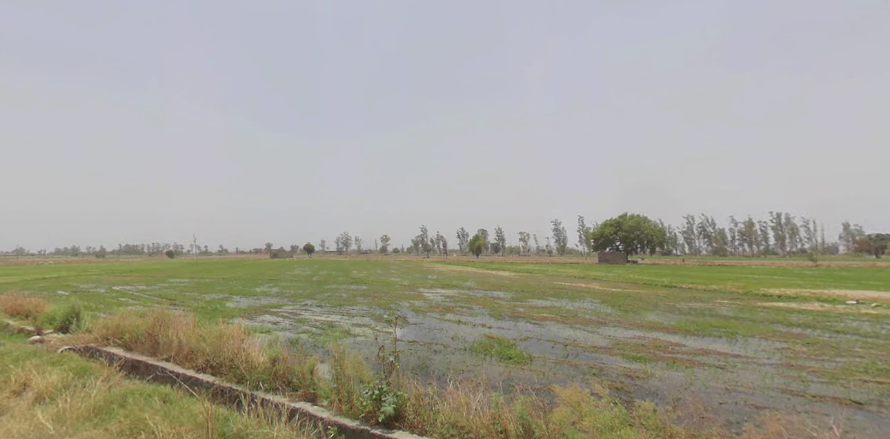 Sector 26A, Jind Byp, Jind, Teg Bahadurpur, Haryana 126102, India