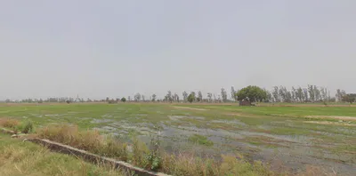 Sector 26A, Jind Byp, Jind, Teg Bahadurpur, Haryana 126102, India preview 2